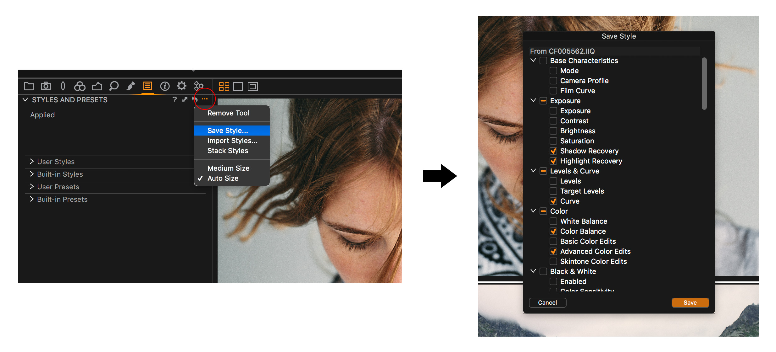 capture one style vs preset