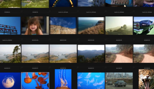 Capture One Catalogs
