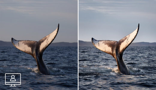 Webinar: September 5th 2019- End to End Photo Editing Part 2