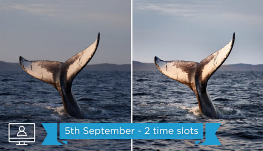 Webinar: September 5th 2019- End to End Photo Editing Part 2