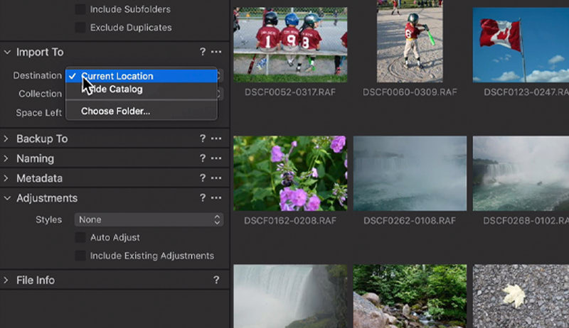 capture one raw photo editor creating a catalogue