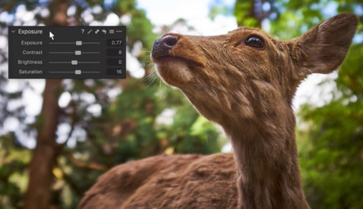 capture one raw photo editor interface explained