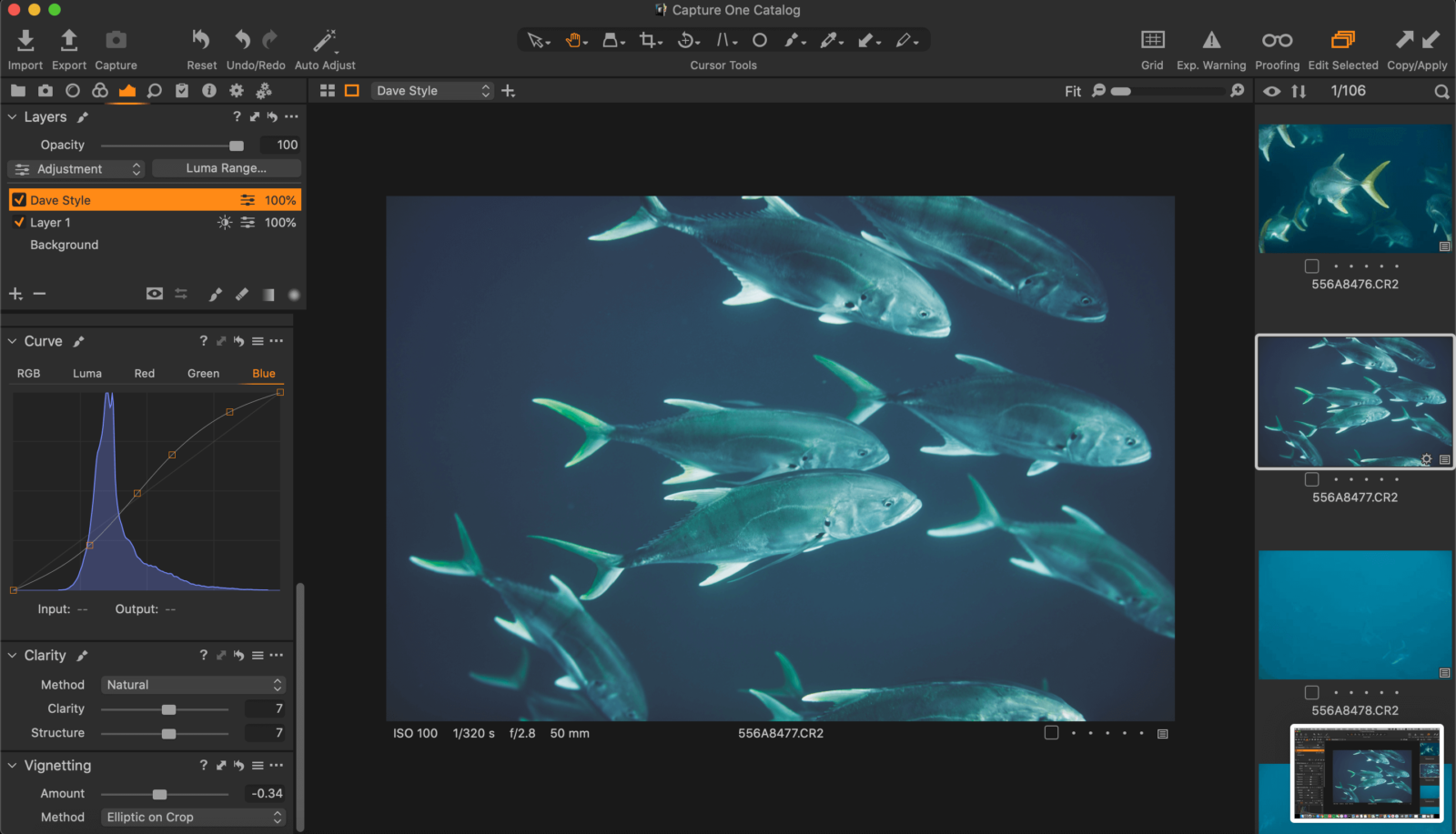 Why nature photographers need photo editing - Capture One