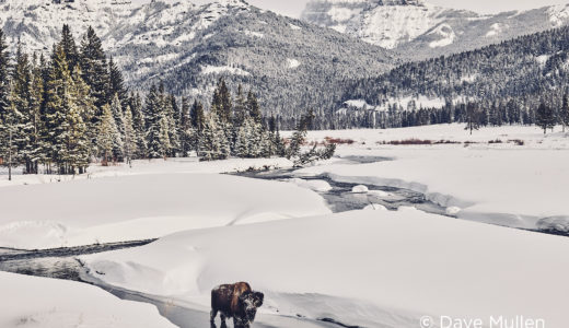 Why nature photographers need photo editing