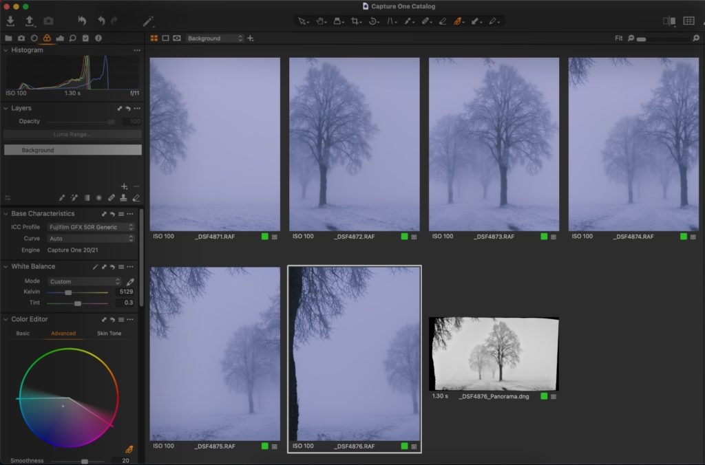 Capture One software showing selection of images used to create snowy tree image