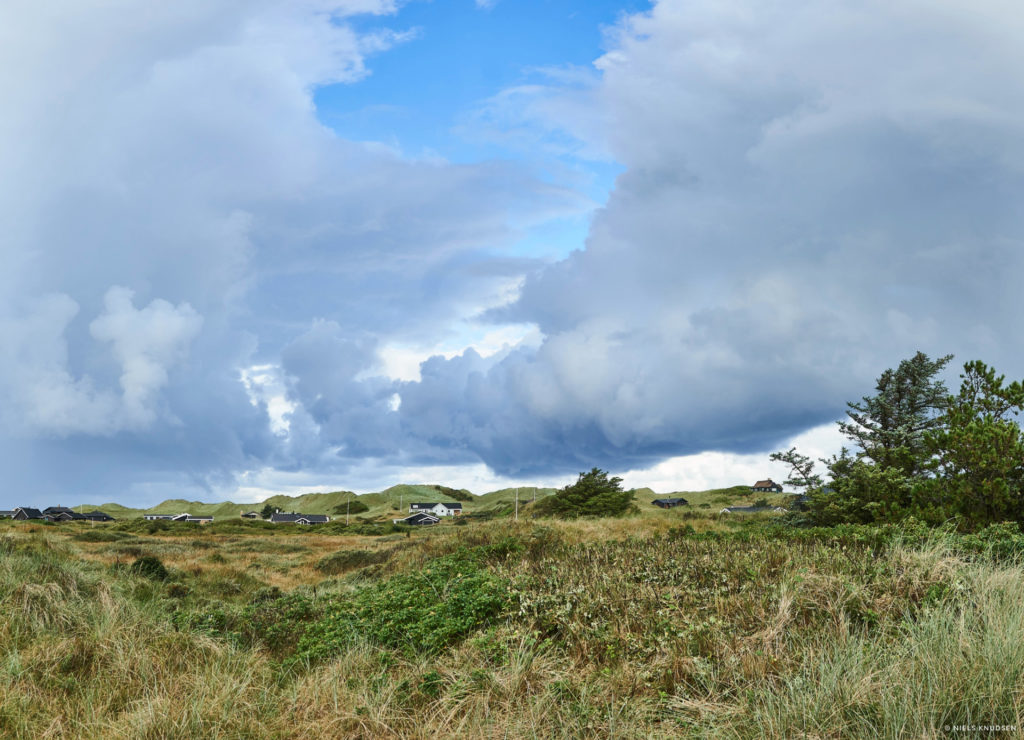 Image of a field created using panoramic stitch feature