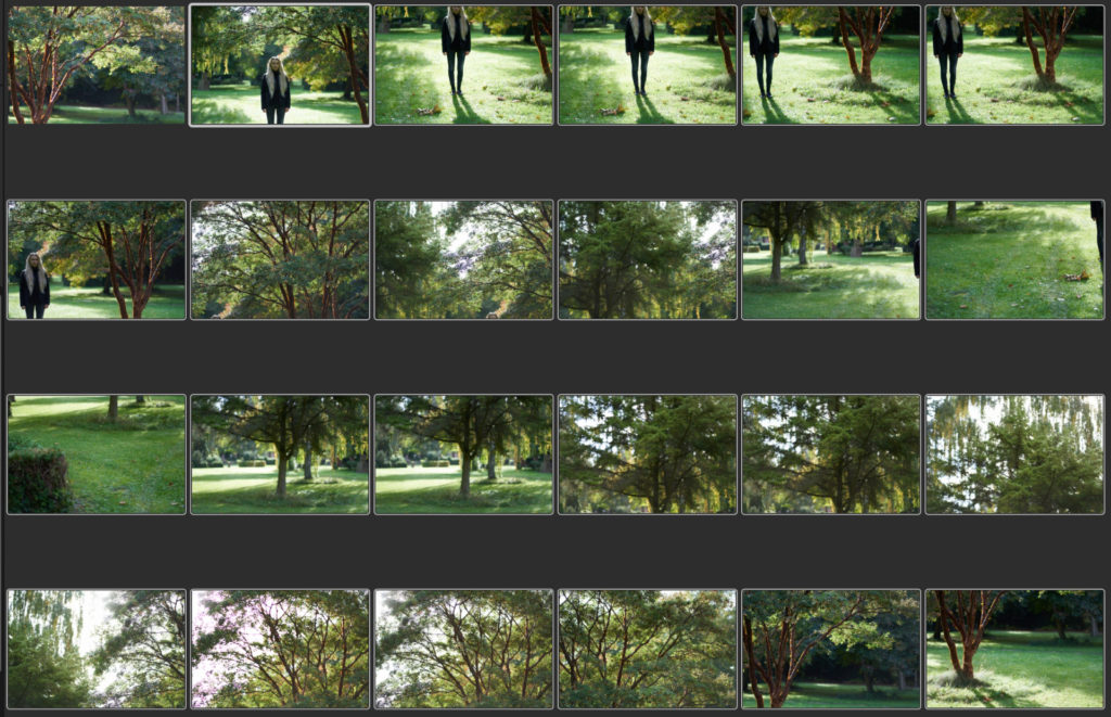 Screenshot showing 19 images used for the final stitched image 