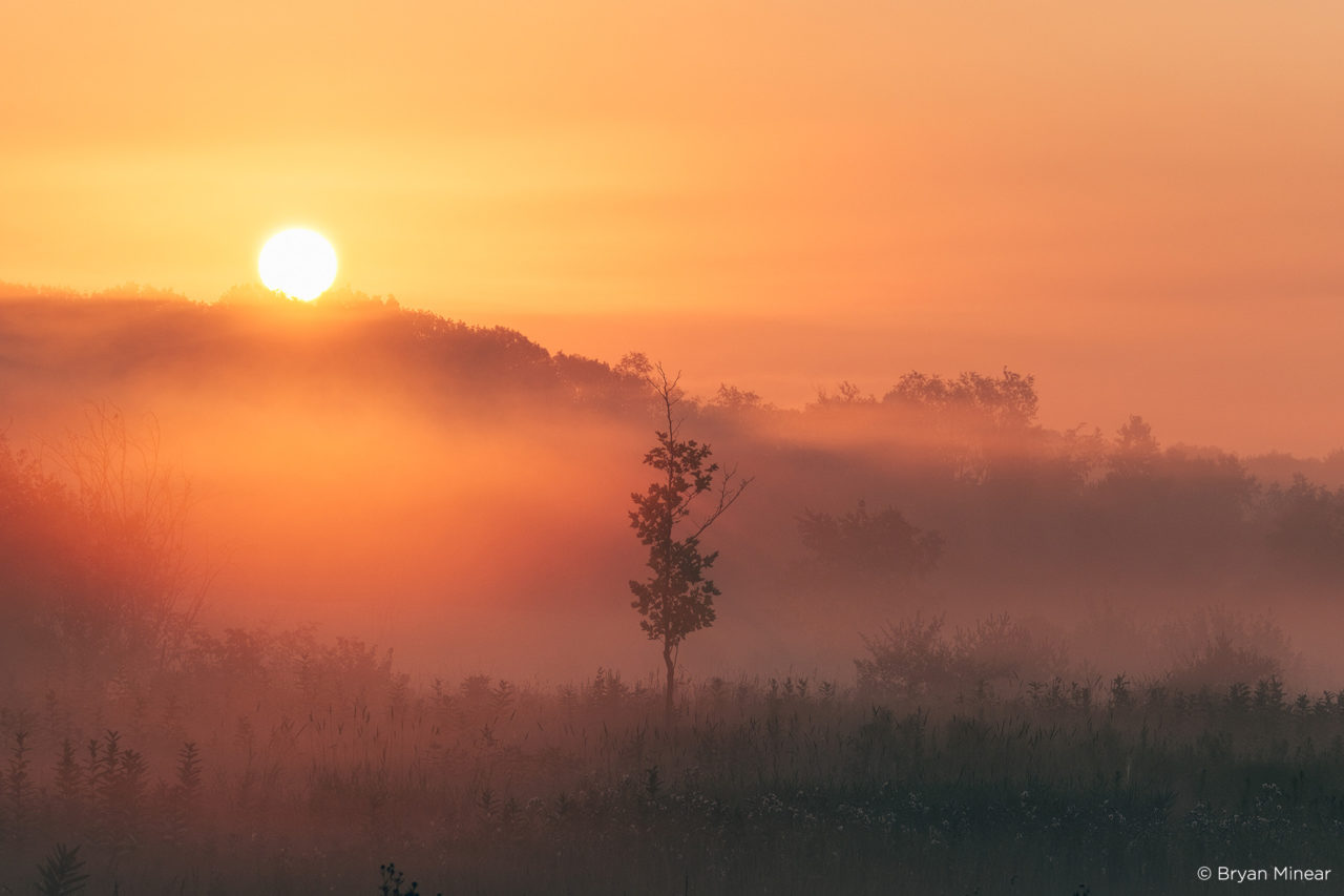 Bryan Minear - Capture One Color Grading