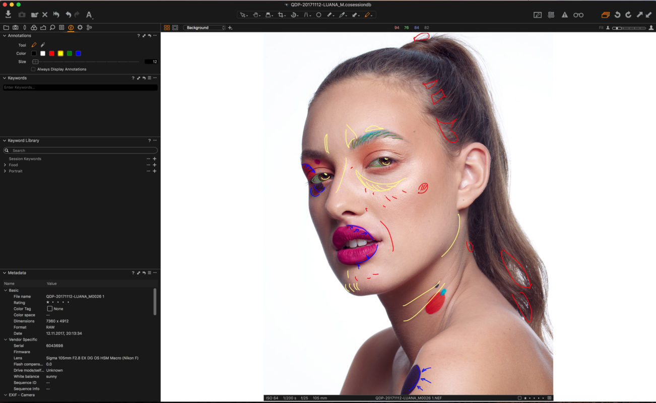 Annotations - What are they and how to use them? | Capture One Blog
