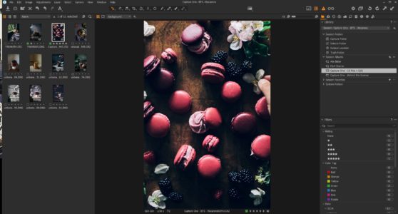 albumy sesji zrzut ekranu One Pro raw image editor