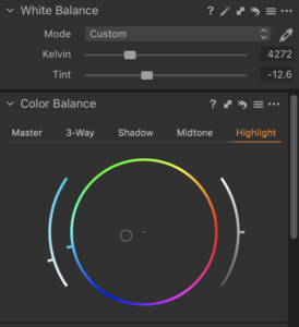 Capture One RAW photo editor studio workflow blogpost Kristina Varaksina software interface showing temperature tint adjustment tool